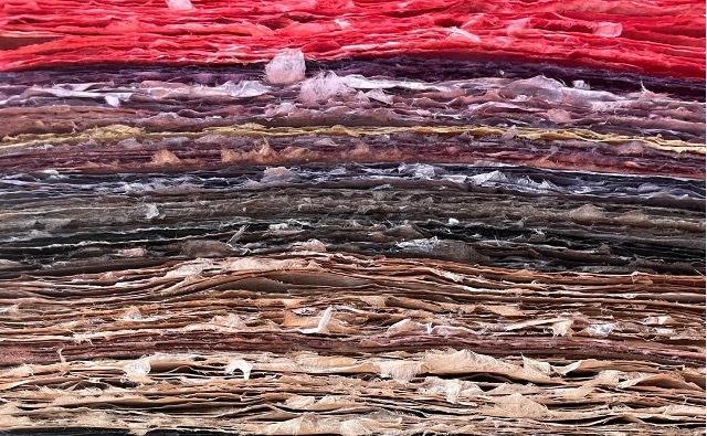 Brigitte Potter-Mael